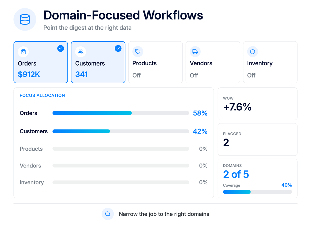 Domain-focused workflows ApparelMagic custom agents